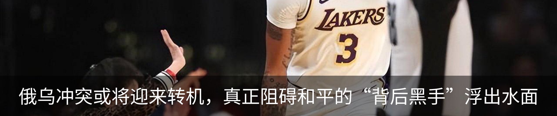 最新动态